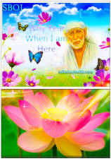 shirdi-sai-baba-mobile-phone-wallpaper-why-fear-when-i-am-here-lotus-flower
