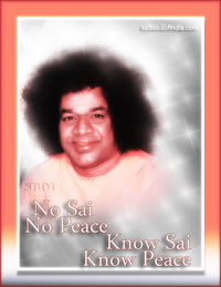 no Sai no peace - know Sai know peace