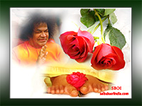 sri-sathya-sai-baba-rose-on-lotus-feet-offering-of-flowers