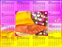 SRI SATHYA SAI BABA Calendar 2011 - Lotus feet 